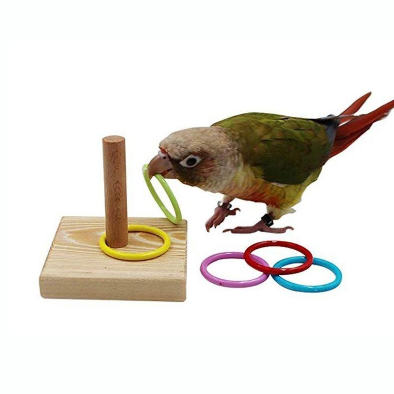 Gymnastic Rings Wooden - Anel de treinamento de pássaros brinquedo