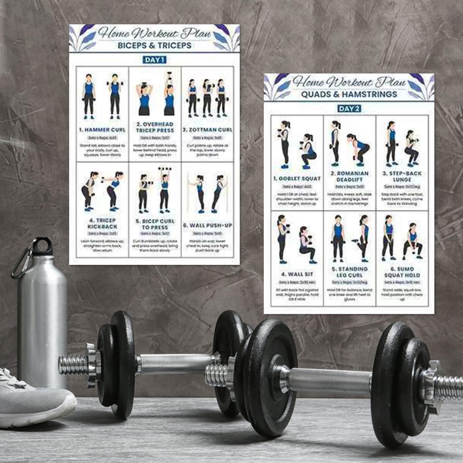 Gráfico de treino de corpo int - Home Gym Routine avaliação e preço