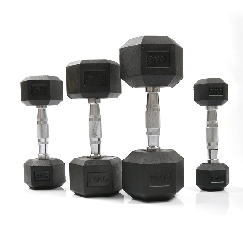 Halteres hexagonais revestidos - Home Gym Custom avaliação e preço