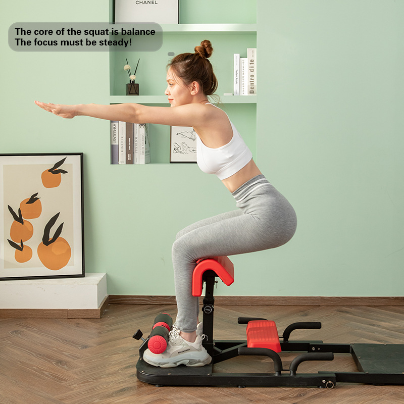 Máquina de Agachamento Sissy 3 - Home Gym Quad Exercises avaliação e preço